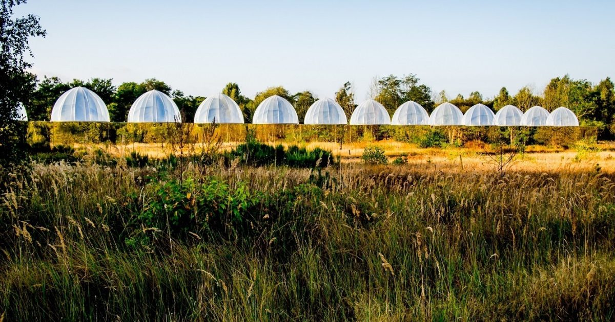 The twelve sun-lit ecotron domes of Hasselt University in the Hoge Kempen National Park